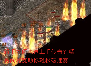 ������ο������ִ��棿���׸�������������������