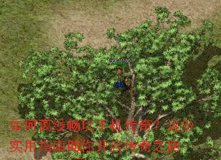 ������߳����ֻ����棿���ʵ��ָ�����㿪������֮·