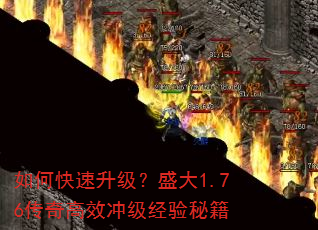 ��ο���������ʢ��1.76�����Ч�弶�����ؼ�
