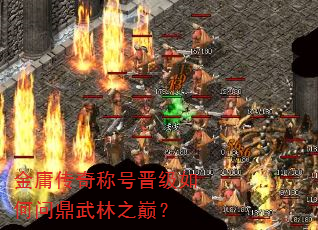 ��ӹ����ƺŽ�������ʶ�����֮�ۣ�