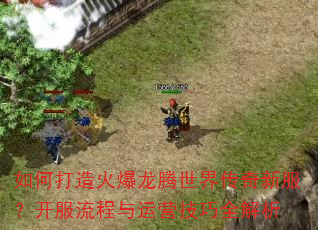 如何打造火爆龙腾世界传奇新服?开服流程与运营技巧全解析 如何打造火爆龙腾世界传奇新服?开服流程与运营技巧全解析