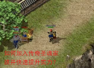 ��μ��봫��ʥ����岢��������ʵ����
