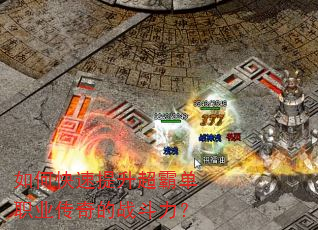 ��ο����������Ե�ְҵ�����ս������