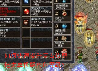 如何快速提升复古传奇迷失单机版角色等级? 如何快速提升复古传奇迷失单机版角色等级?