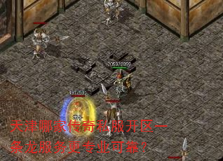 天津哪家传奇私服开区一条龙服务更专业可靠? 天津哪家传奇私服开区一条龙服务更专业可靠?