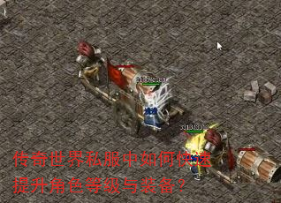 传奇世界私服中如何快速提升角色等级与装备? 传奇世界私服中如何快速提升角色等级与装备?