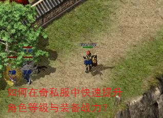 如何在奇私服中快速提升角色等级与装备战力? 如何在奇私服中快速提升角色等级与装备战力?