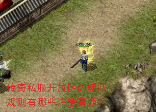 传奇私服开放区的组队规则有哪些注意事项? 传奇私服开放区的组队规则有哪些注意事项?
