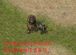 传奇私服开放区的组队规则有哪些注意事项? 传奇私服开放区的组队规则有哪些注意事项?