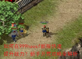 如何在999haosf新服快速提升战力?新手开荒攻略全解析 如何在999haosf新服快速提升战力?新手开荒攻略全解析