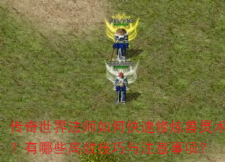 传奇世界法师如何快速修炼兽灵术?有哪些高效技巧与注意事项? 传奇世界法师如何快速修炼兽灵术?有哪些高效技巧与注意事项?