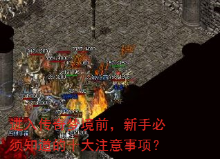 ���봫���ξ�ǰ�����ֱ���֪����ʮ��ע�����