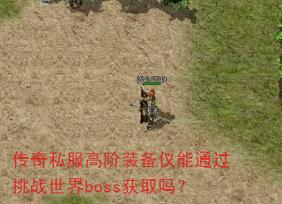 传奇私服高阶装备仅能通过挑战世界boss获取吗? 传奇私服高阶装备仅能通过挑战世界boss获取吗?