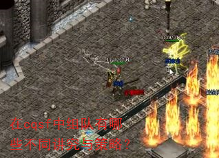 ��cqsf���������Щ��ͬ��������ԣ�