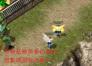 传奇私服装备价格如何影响游戏攻略? 传奇私服装备价格如何影响游戏攻略?