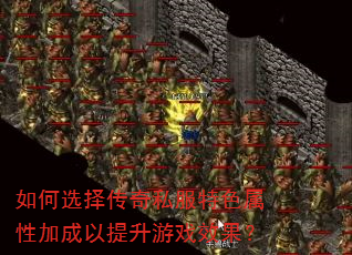 ���ѡ����˽����ɫ���Լӳ���������ϷЧ����