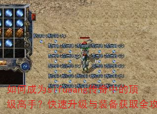 ��γ�Ϊsifuwang�����еĶ������֣�����������װ����ȡȫ����