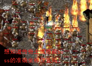 ��֪��������������boss��׼ȷ����λ����