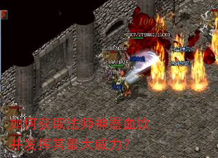 ��λ�ȡ��ʦ����Ѫ�������������������