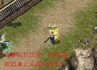 当等级封顶后,传奇游戏的真正乐趣在哪里? 当等级封顶后,传奇游戏的真正乐趣在哪里?