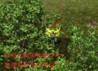 如何在神鬼传奇SF中快速提升角色等级? 如何在神鬼传奇SF中快速提升角色等级?