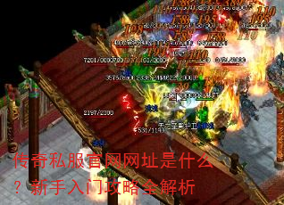 ����˽��������ַ��ʲô���������Ź���ȫ����