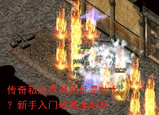 ����˽��������ַ��ʲô���������Ź���ȫ����