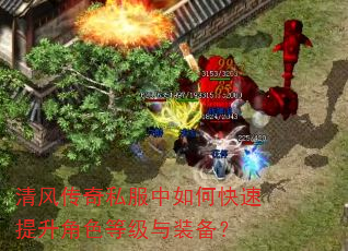 ��紫��˽������ο���������ɫ�ȼ���װ����