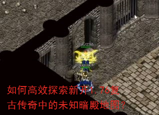 ��θ�Ч̽���¿�1.76���Ŵ����е�δ֪�����ͼ��