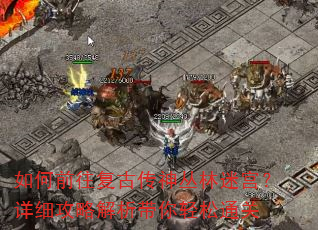 如何前往复古传神丛林迷宫?详细攻略解析带你轻松通关 如何前往复古传神丛林迷宫?详细攻略解析带你轻松通关