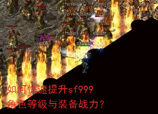 ��ο�������sf999��ɫ�ȼ���װ��ս����
