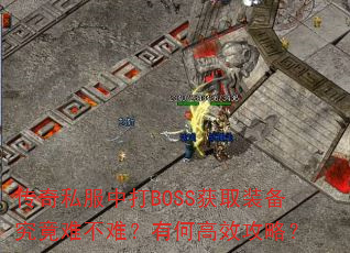 ����˽���д�BOSS��ȡװ�������Ѳ��ѣ��кθ�Ч���ԣ�