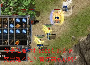 ����˽���д�BOSS��ȡװ�������Ѳ��ѣ��кθ�Ч���ԣ�