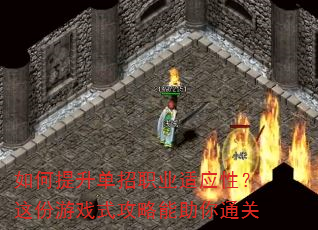 �����������ְҵ��Ӧ�ԣ������Ϸʽ����������ͨ��