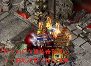 սʿ��ε�������˽��boss����Ч�����뼼�����