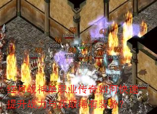 ����ս��ְҵ������ο�������ս�����ȡϡ��װ����