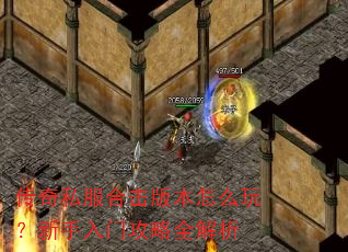 ����˽���ϻ��汾��ô�棿�������Ź���ȫ����