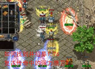 ����ҵ�����ļ1.76���Ŵ����е�ǿ��ӥ����