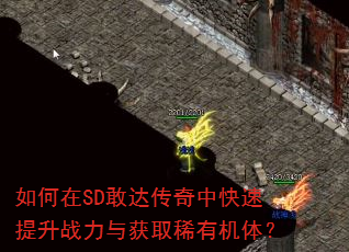 �����SD�Ҵﴫ���п�������ս�����ȡϡ�л��壿