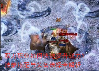 ˫��ְҵ��ο�������ս�������ܴ�����װ��ѡ��ȫ����