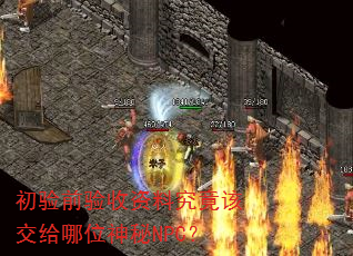 初验前验收资料究竟该交给哪位神秘NPC? 初验前验收资料究竟该交给哪位神秘NPC?