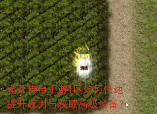 新开传奇手游1区如何快速提升战力与获取高级装备? 新开传奇手游1区如何快速提升战力与获取高级装备?