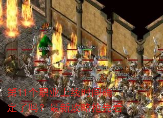 ��11��ְҵ����ʱ��ȷ���������¹������ȿ�
