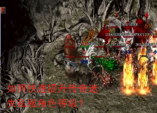 ��ο�������������ʧ˽����ɫ�ȼ���