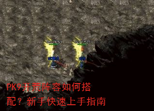 PK9����������δ��䣿���ֿ�������ָ��