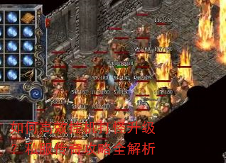 ��θ�Ч�һ����������˽�����湥��ȫ����