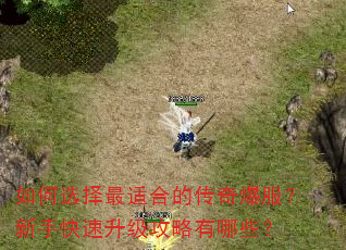 ���ѡ�����ʺϵĴ��汬�������ֿ���������������Щ��