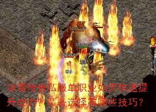 ��ѩ����˽����ְҵ��ο�������ս����װ��ѡ������Щ���ɣ�